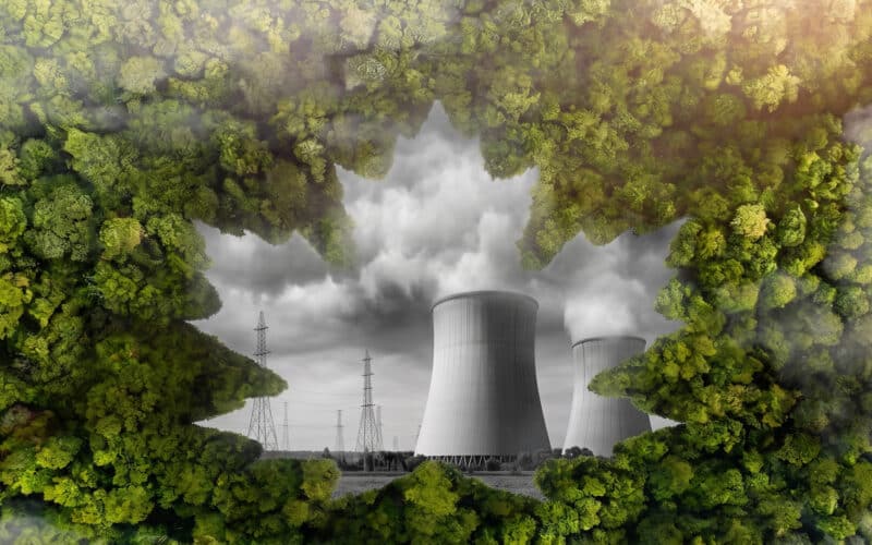 Greenhushing : quand la peur du greenwashing fait taire les marques